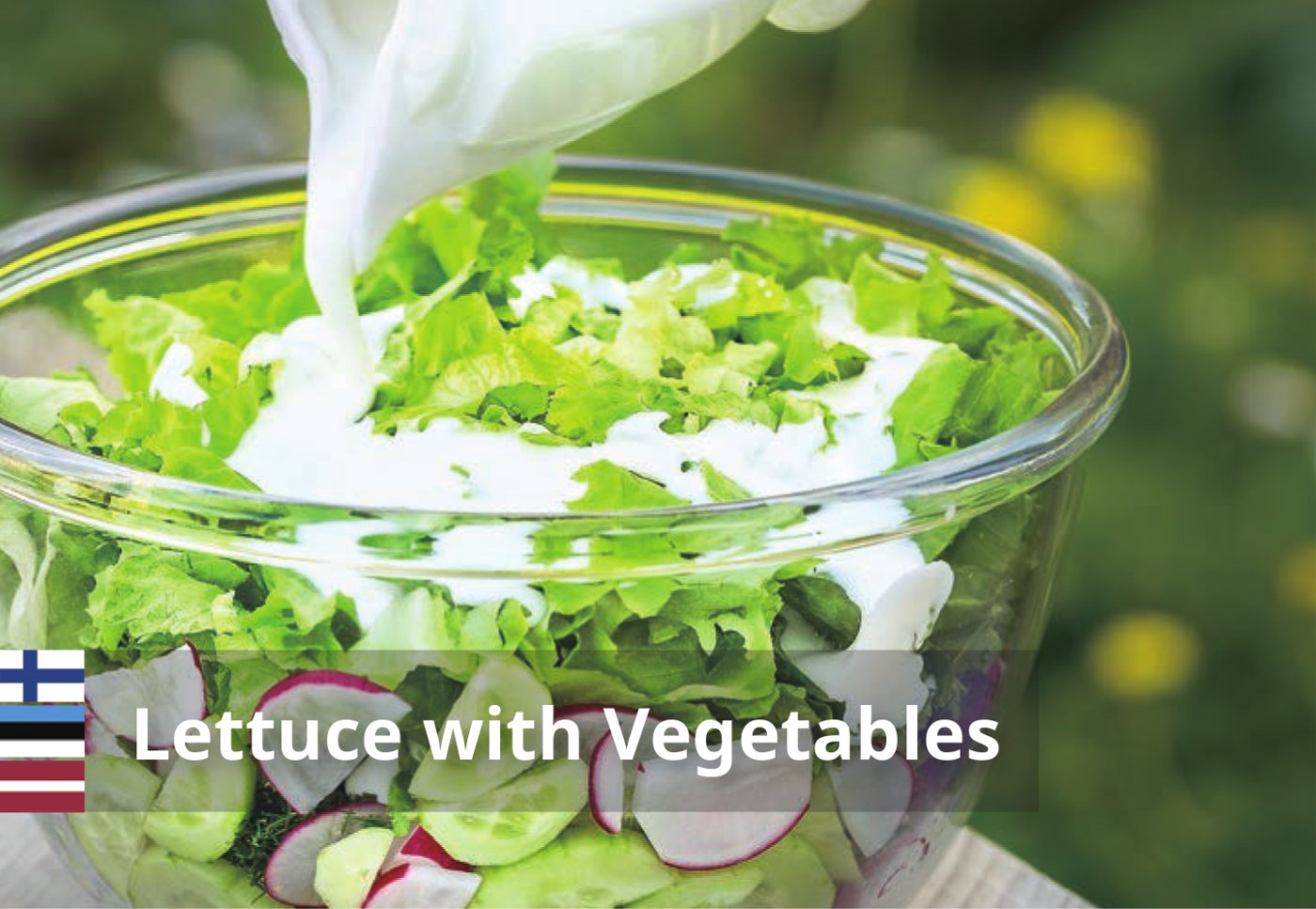Lettuce with Vegetables